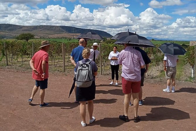 Local Vineyard Tour & Wine Tasting at the Independence Valley - A short ride from San Miguel to wine country