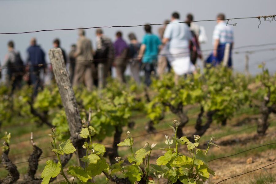 Loire Valley: Vouvray Vineyard Tour and Wine Tasting - Arriving In Chançay And Meeting The Family