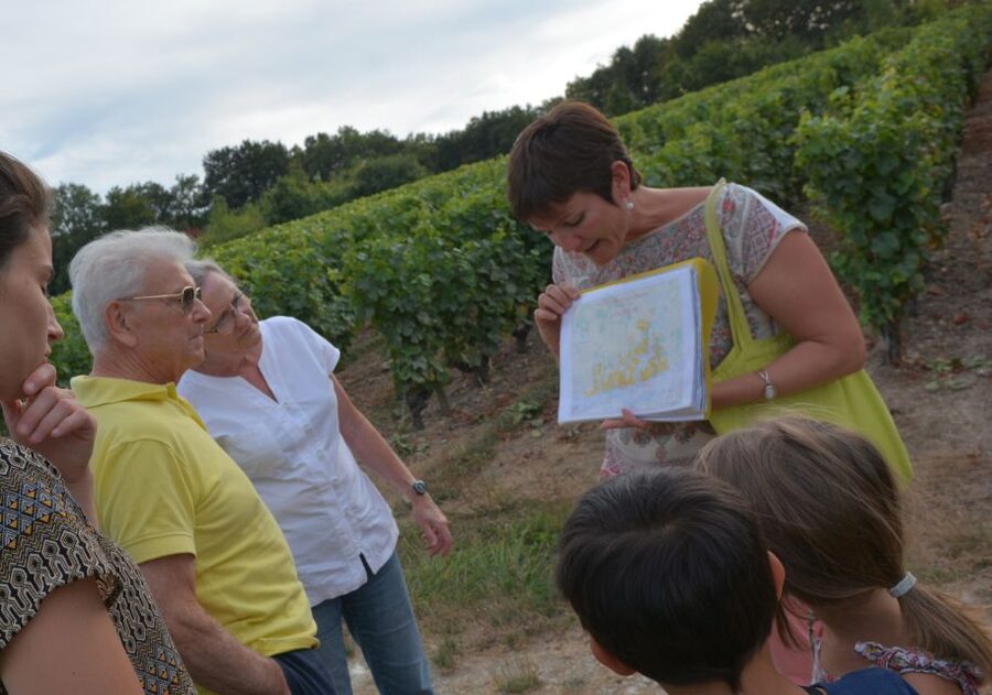Loire Valley: Vouvray Vineyard Tour and Wine Tasting - Inside The Rock-Hewn Cellar