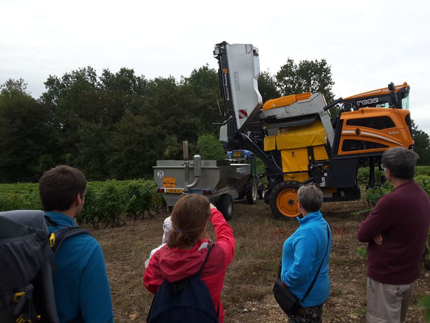 Loire Valley: Vouvray Vineyard Tour and Wine Tasting - Should You Book The Vouvray Vineyard Tour?