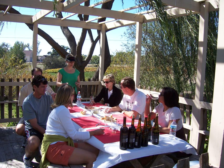 Los Olivos: E-Bike Tour + Vineyard Lunch w/Wine Tasting - Key points at a glance