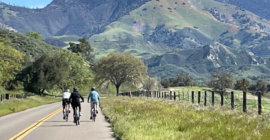 Los Olivos: E-Bike Tour + Vineyard Lunch w/Wine Tasting - Starting in Santa Ynez with the right bike