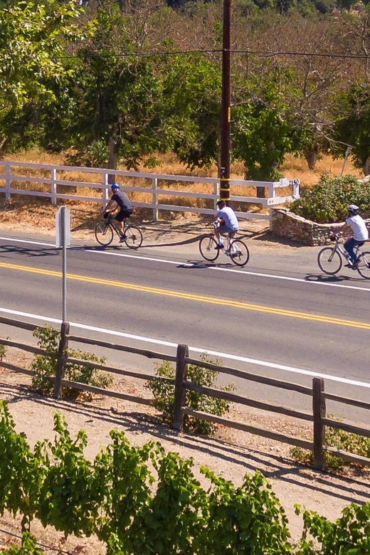 Los Olivos: E-Bike Tour + Vineyard Lunch w/Wine Tasting - Los Olivos, with time to look around