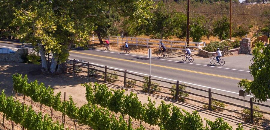 Los Olivos: E-Bike Tour + Vineyard Lunch w/Wine Tasting - Lunch at Beckmen Vineyards