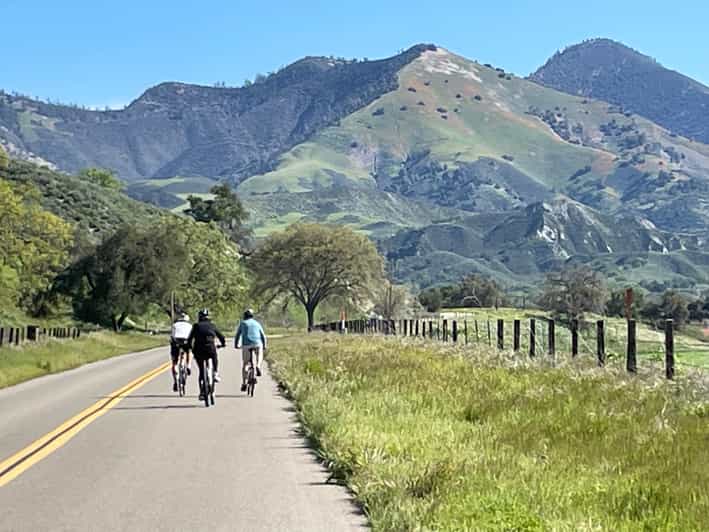 Los Olivos: E-Bike Tour + Vineyard Lunch w/Wine Tasting - Rolling through the Santa Ynez Valley