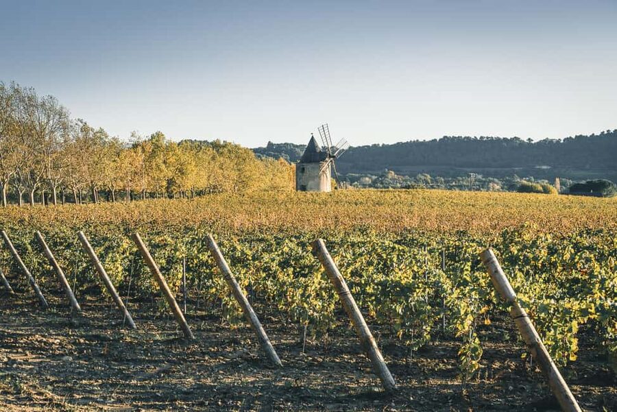 Luberon: Vineyard Tour and Wine Tasting - Key points to know before visiting