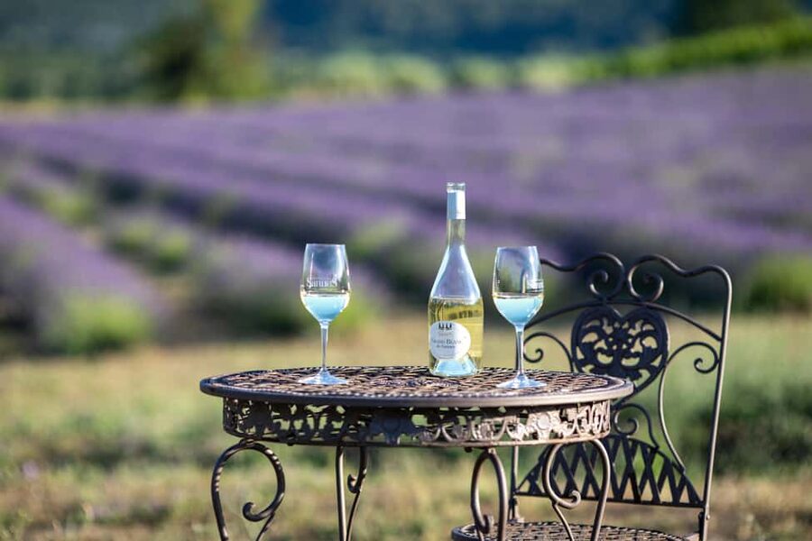 Luberon: Vineyard Tour and Wine Tasting - Starting at Château de Sannes