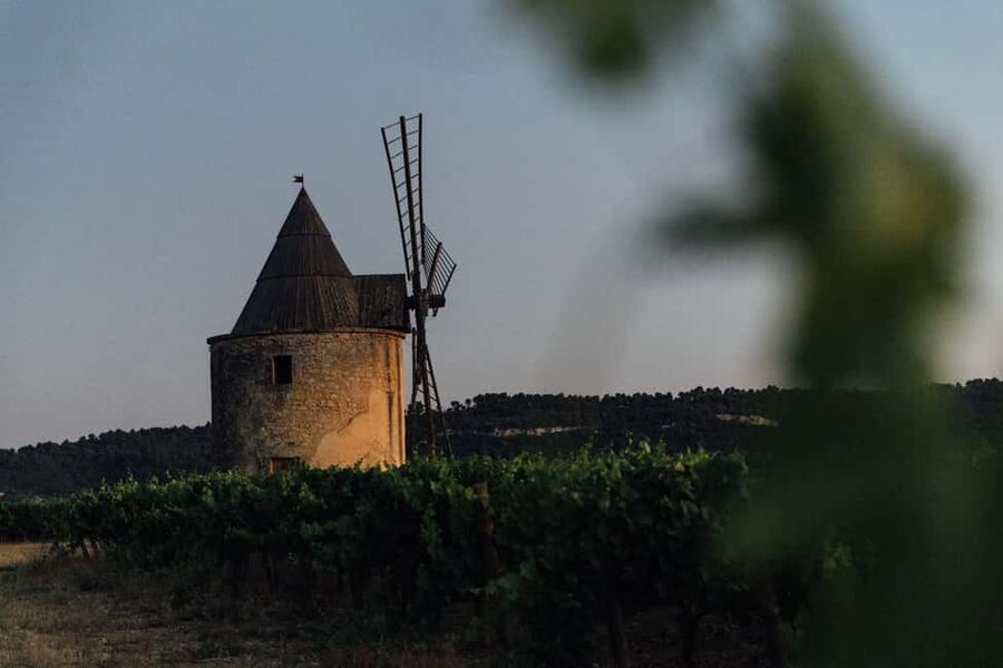Luberon: Vineyard Tour and Wine Tasting - Understanding the winemaker’s work