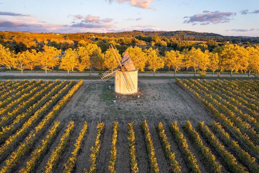 Luberon: Vineyard Tour and Wine Tasting - Tasting the estate’s white, rosé, and red wines