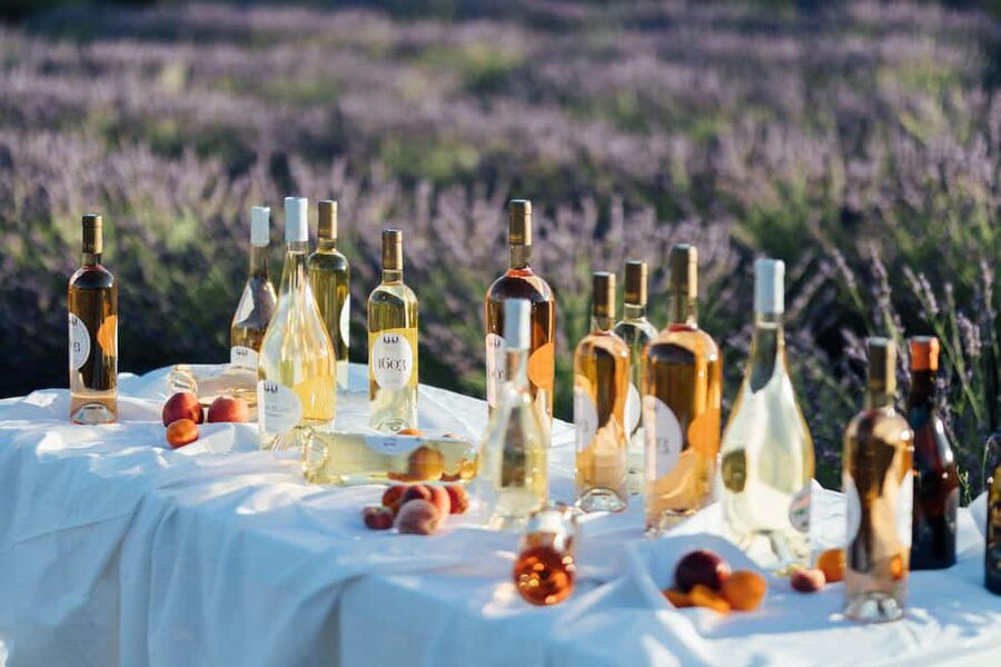 Luberon: Vineyard Tour and Wine Tasting - Practical advice for a smoother visit