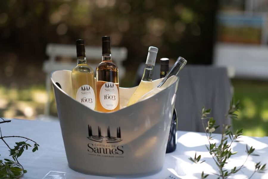 Luberon: Vineyard Tour and Wine Tasting - Walking through the vine cycle