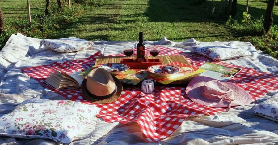 Lucca: Picnic Lunch at a Vineyard by Bike - At a glance: what makes this ride worth considering