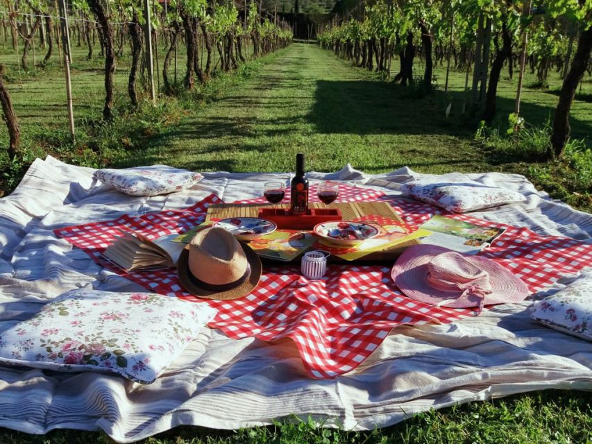 Lucca: Picnic Lunch at a Vineyard by Bike - The vineyard picnic after the hills