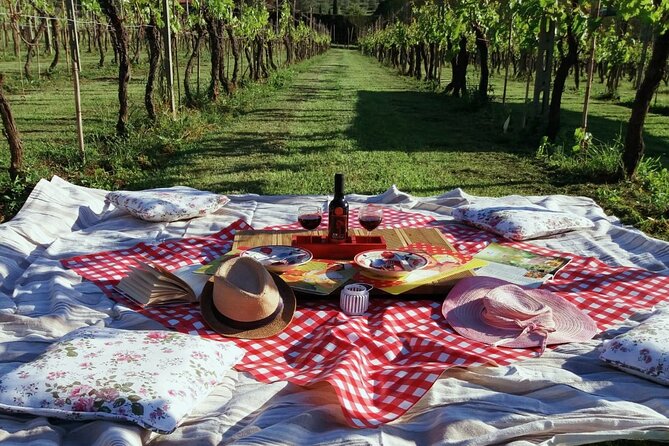 Lucca: self-guided bike tour + picnic in the vineyards - Key Points at a Glance