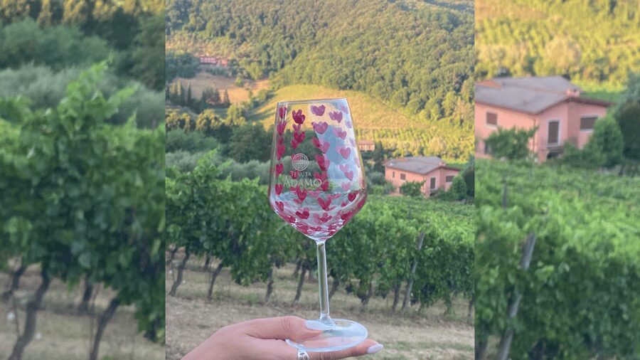 Lucca: Vineyard Paint & Sip at Tenuta Adamo Winery - My verdict on the Lucca vineyard painting experience