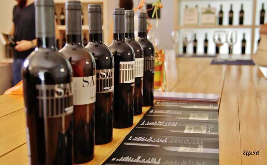 Lunch and tasting 5 wines + walk in the panoramic vineyards - Starting at SAIO near Saint Francis