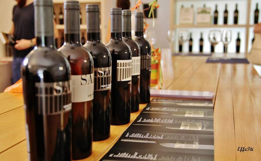 Lunch and tasting 5 wines + walk in the panoramic vineyards - Is $44 a good value?