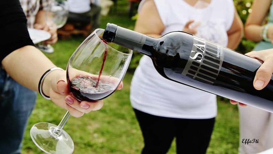 Lunch and tasting 5 wines + walk in the panoramic vineyards - Should you book the SAIO wine and lunch experience?