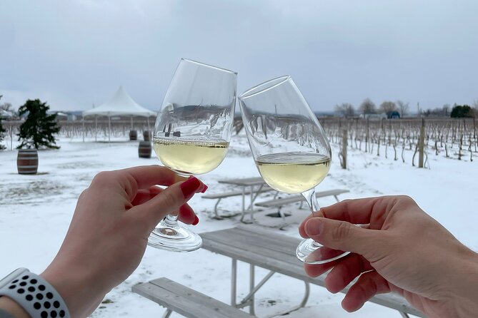 Lunch in the Vineyard: A Scenic Niagara Wine Tour Experience - Bella Terra Vineyards and the family-run touch