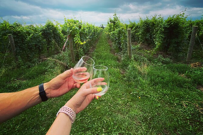 Lunch in the Vineyard: A Scenic Niagara Wine Tour Experience - Lunch, tastings, and the value of the $179.50 price