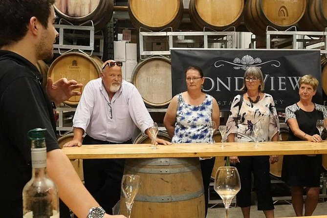 Lunch in the Vineyard: A Scenic Niagara Wine Tour Experience - Who should book this experience