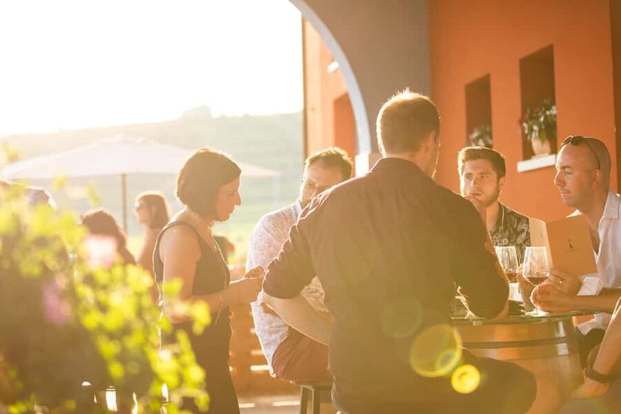 LUNCH IN VERONA: LIGHT LUNCH AMONG THE VINEYARDS AND IN THE WINERY - Who should book this lunch?