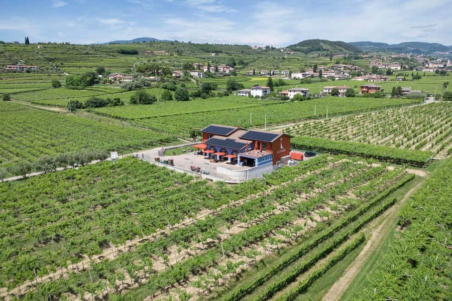 LUNCH IN VERONA: LIGHT LUNCH AMONG THE VINEYARDS AND IN THE WINERY - Timing, language, and practical planning