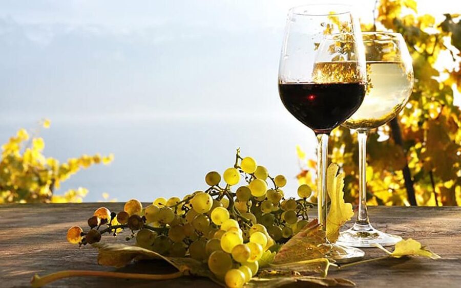 Madeira: Vineyard Tour w/ Wine Tasting & Skywalk - How difficult is the walking?