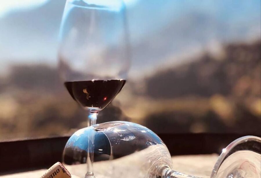 Madeira: Vineyard Tour w/ Wine Tasting & Skywalk - Should you book the Madeira vineyard tour?