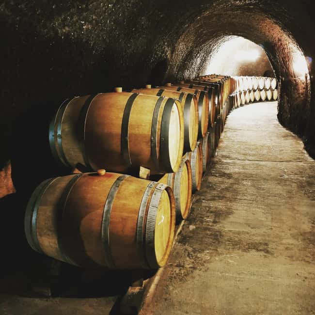 Madrid: half day wine region tour - Chinchón or Colmenar de Oreja between tastings