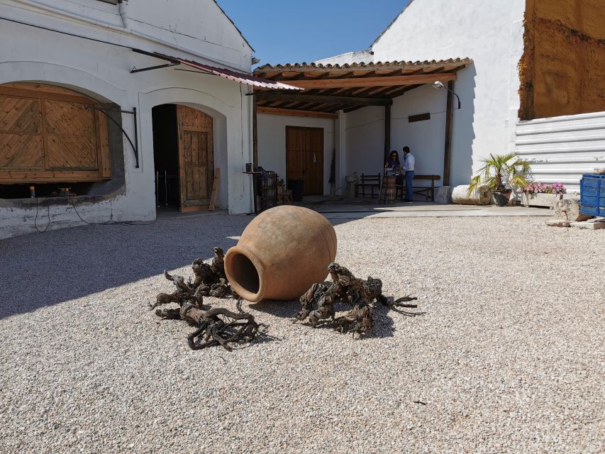Madrid: half day wine region tour - Second winery: compare the bottles and the methods