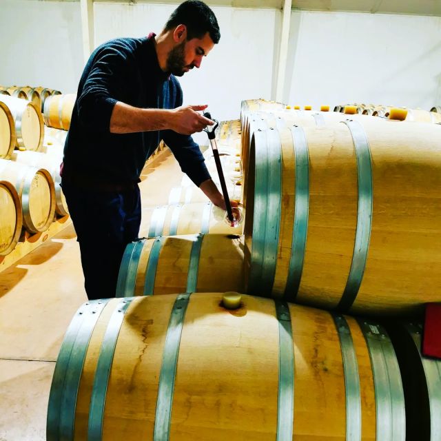 Madrid: half day wine region tour - What the $182 price really covers