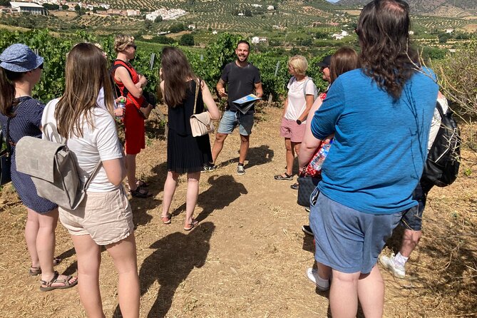 Malaga Organic Vineyard and Winery Six Wines Tapas and Transfer - Key points to know before you book