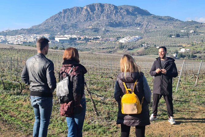 Malaga Organic Vineyard and Winery Six Wines Tapas and Transfer - Five paired bites, then a serious tapas spread
