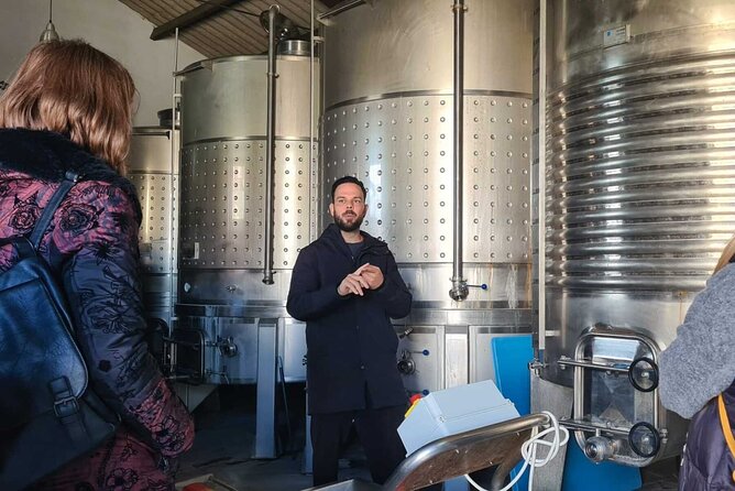 Malaga Organic Vineyard and Winery Six Wines Tapas and Transfer - Guides, group size, and the personal feel