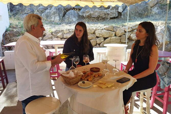 Malaga Organic Vineyard and Winery Six Wines Tapas and Transfer - Who will enjoy this Malaga wine tour most