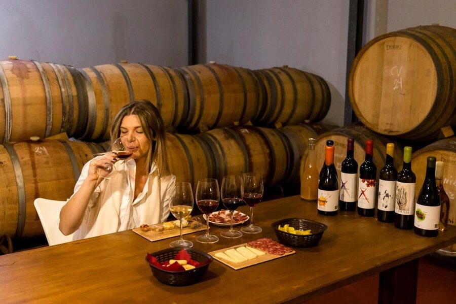 Malaga: Organic Vineyard Tour with 6 Wines, Tapas & Transfer - Key details before you book