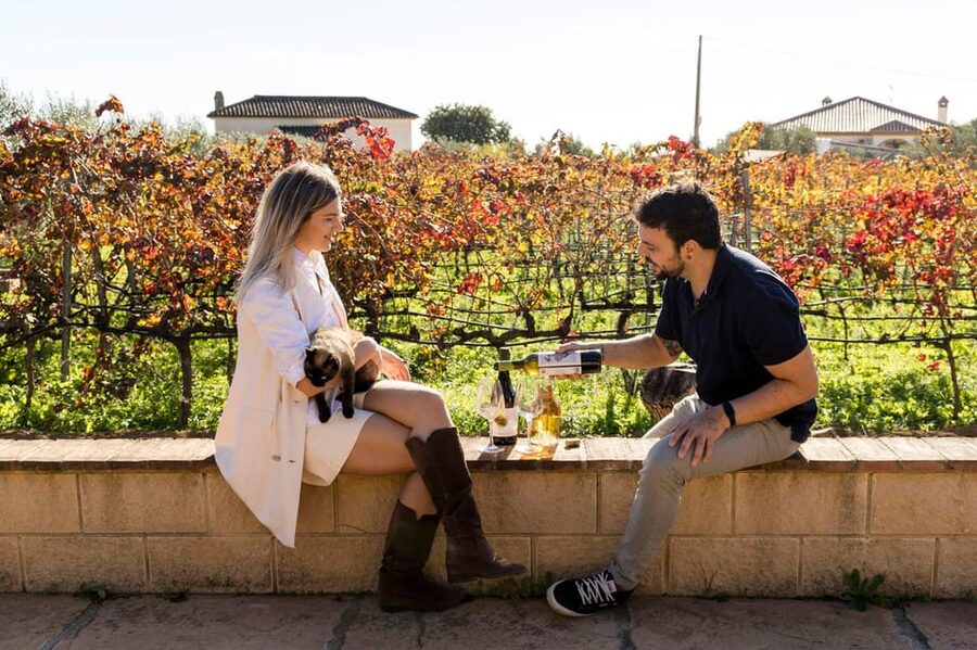 Malaga: Organic Vineyard Tour with 6 Wines, Tapas & Transfer - From Malaga’s waterfront to the hills