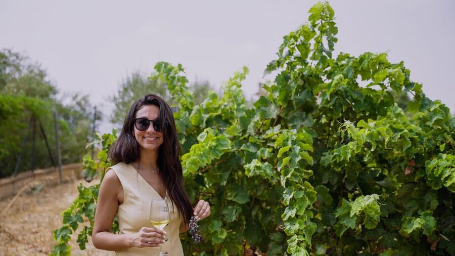 Malaga: Organic Vineyard Tour with 6 Wines, Tapas & Transfer - Inside Antonio’s garage winery