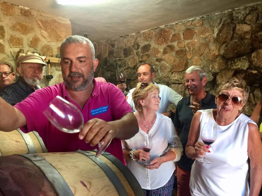 Malaga: Organic Vineyard Tour with 6 Wines, Tapas & Transfer - What the $112 price really buys