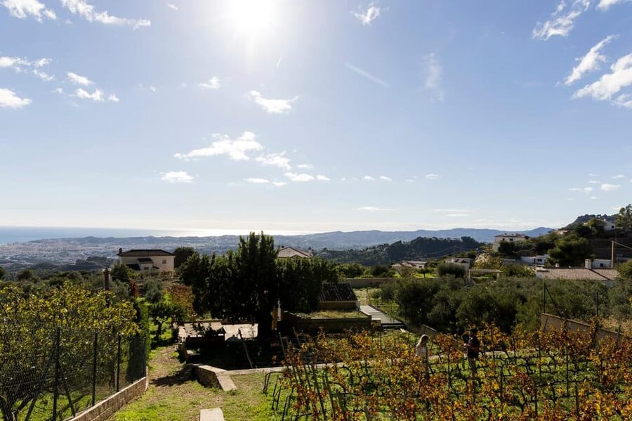 Malaga: Organic Vineyard Tour with 6 Wines, Tapas & Transfer - Group size, pace, and comfort