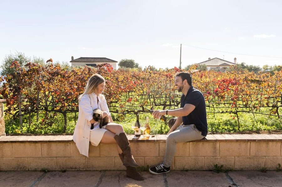 Malaga: Organic Vineyard Tour with 6 Wines, Tapas & Transfer - When this tour works best