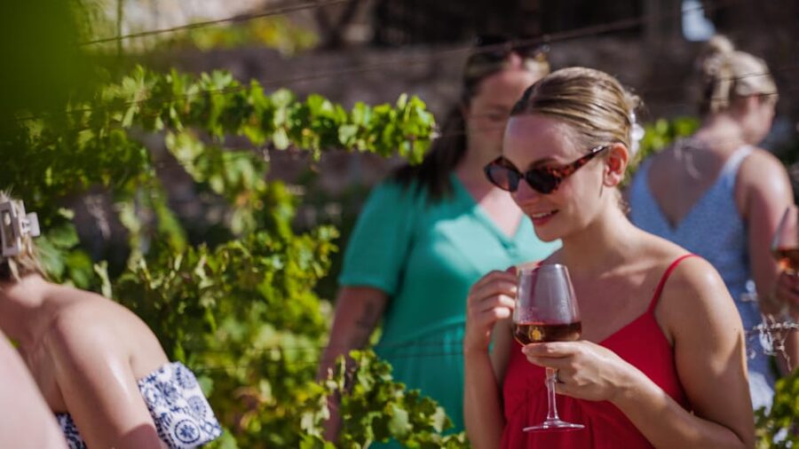 Malaga: Organic Vineyard Tour with 6 Wines, Tapas & Transfer - Walking through the organic vines