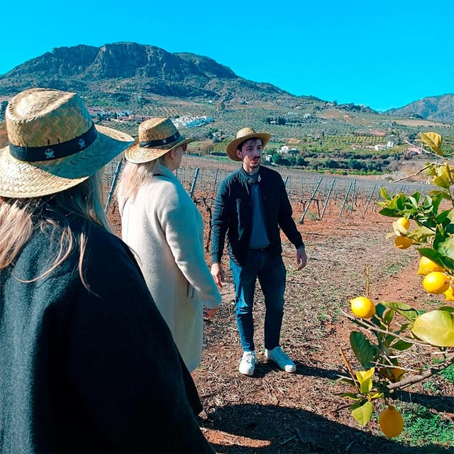 Malaga: White Village, Vineyard, and Wine Tasting Wine Tour - Practical details that improve the day