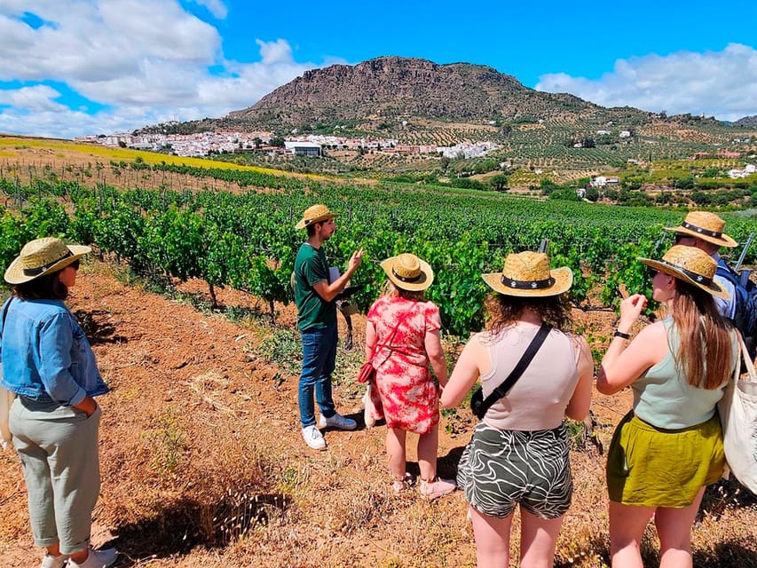 Malaga: White Village, Vineyard, and Wine Tasting Wine Tour - Why Álora makes a better wine day than a simple tasting