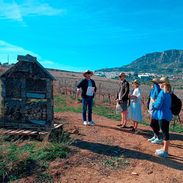 Malaga: White Village, Vineyard, and Wine Tasting Wine Tour - The ride from the Costa del Sol