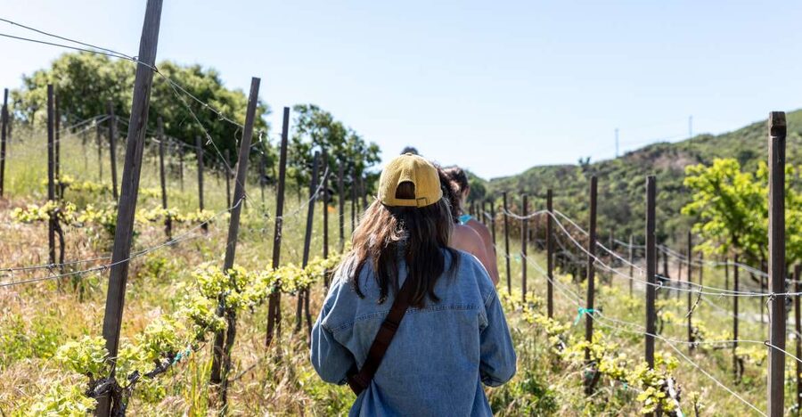 Malibu: Guided Vineyard Hike with Photo Stops and Wine - Key points to know before you go