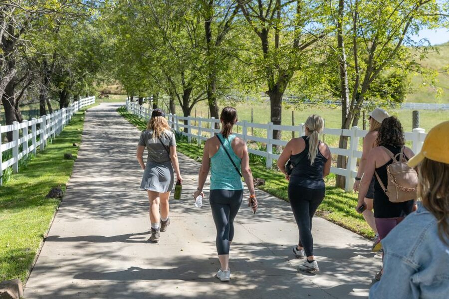 Malibu: Guided Vineyard Hike with Photo Stops and Wine - Is $49 a fair price?