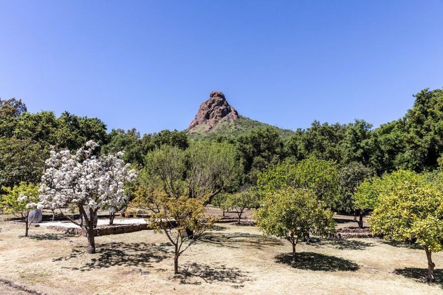 Malibu: Guided Vineyard Hike with Photo Stops and Wine - Who should book this Malibu wine hike?