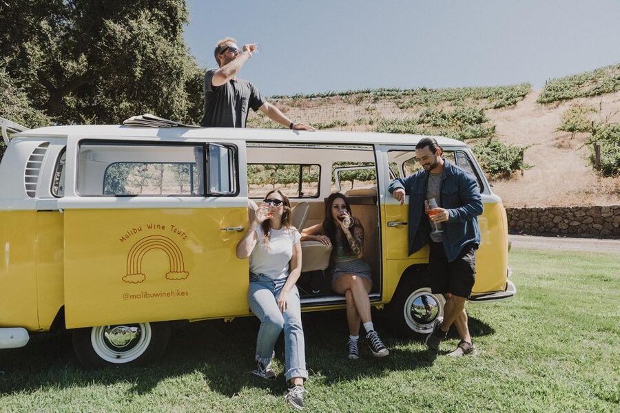 Malibu: Vintage VW Bus and Vineyard Tour - Should you book the Malibu Vintage VW Bus and Vineyard Tour?